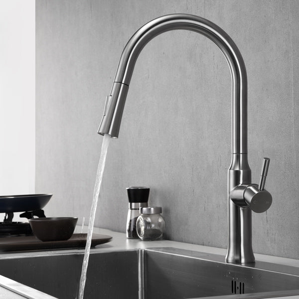 F100139 - Trova Transitional Kitchen Faucet Artos US