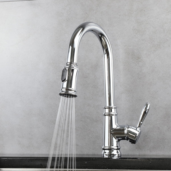 F100140 - Trova Traditional Kitchen Faucet Artos US